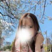 ヒメ日記 2025/04/07 19:24 投稿 白沢ゆり Mrs. Dandy