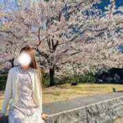 ヒメ日記 2026/04/05 20:49 投稿 白沢ゆり Mrs. Dandy