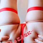 ヒメ日記 2025/04/16 18:02 投稿 みな 逢って30秒で即尺