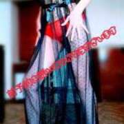 ヒメ日記 2025/07/26 12:04 投稿 みな 逢って30秒で即尺