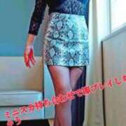 ヒメ日記 2025/09/03 12:47 投稿 みな 逢って30秒で即尺