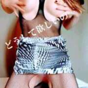 ヒメ日記 2025/09/10 17:50 投稿 みな 逢って30秒で即尺