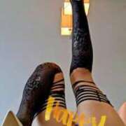 ヒメ日記 2025/11/21 16:08 投稿 みな 逢って30秒で即尺