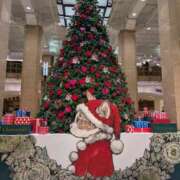 ヒメ日記 2025/12/05 23:21 投稿 白沢ゆり Mrs.Dandy Kinshicho