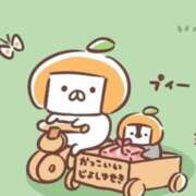 ヒメ日記 2025/01/17 01:21 投稿 りのん 即アポマダム～名古屋店～