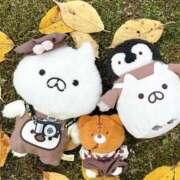 ヒメ日記 2025/01/24 23:21 投稿 りのん 即アポマダム～名古屋店～