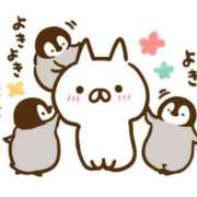 ヒメ日記 2025/04/30 23:06 投稿 りのん 即アポマダム～名古屋店～