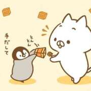 ヒメ日記 2025/06/11 17:13 投稿 りのん 即アポマダム～名古屋店～