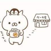 ヒメ日記 2025/06/18 00:31 投稿 りのん 即アポマダム～名古屋店～