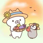 ヒメ日記 2025/06/23 23:11 投稿 りのん 即アポマダム～名古屋店～