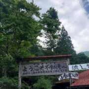 ヒメ日記 2025/07/12 21:51 投稿 りのん 即アポマダム～名古屋店～