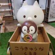 ヒメ日記 2025/07/28 23:11 投稿 りのん 即アポマダム～名古屋店～