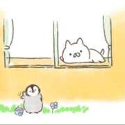 ヒメ日記 2025/08/10 15:21 投稿 りのん 即アポマダム～名古屋店～