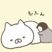 ヒメ日記 2025/09/23 11:31 投稿 りのん 即アポマダム～名古屋店～