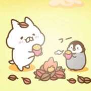 ヒメ日記 2025/11/01 21:01 投稿 りのん 即アポマダム～名古屋店～