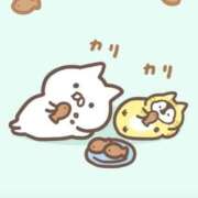 ヒメ日記 2026/02/10 23:21 投稿 りのん 即アポマダム～名古屋店～