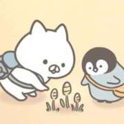 ヒメ日記 2026/03/01 23:21 投稿 りのん 即アポマダム～名古屋店～