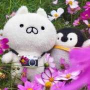 ヒメ日記 2026/03/06 17:01 投稿 りのん 即アポマダム～名古屋店～