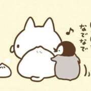 ヒメ日記 2026/03/31 17:21 投稿 りのん 即アポマダム～名古屋店～