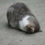 ヒメ日記 2025/06/11 13:12 投稿 はな フロンティア