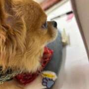 ヒメ日記 2025/07/07 00:29 投稿 冬月　あみ club BLENDA 天王寺・谷9天高ビル店