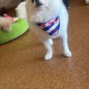 ヒメ日記 2025/07/16 15:47 投稿 冬月　あみ club BLENDA 天王寺・谷9天高ビル店