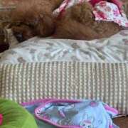 ヒメ日記 2025/07/18 01:25 投稿 冬月　あみ club BLENDA 天王寺・谷9天高ビル店