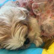 ヒメ日記 2025/07/18 09:21 投稿 冬月　あみ club BLENDA 天王寺・谷9天高ビル店