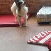 ヒメ日記 2025/07/19 14:07 投稿 冬月　あみ club BLENDA 天王寺・谷9天高ビル店