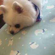 ヒメ日記 2025/07/20 09:31 投稿 冬月　あみ club BLENDA 天王寺・谷9天高ビル店