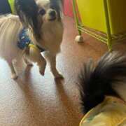 ヒメ日記 2025/07/21 01:33 投稿 冬月　あみ club BLENDA 天王寺・谷9天高ビル店