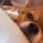 ヒメ日記 2025/08/03 12:22 投稿 冬月　あみ club BLENDA 天王寺・谷9天高ビル店