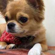 ヒメ日記 2025/08/15 17:10 投稿 冬月　あみ club BLENDA 天王寺・谷9天高ビル店