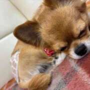 ヒメ日記 2025/08/16 19:04 投稿 冬月　あみ club BLENDA 天王寺・谷9天高ビル店