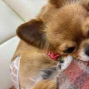 ヒメ日記 2025/08/18 23:36 投稿 冬月　あみ club BLENDA 天王寺・谷9天高ビル店