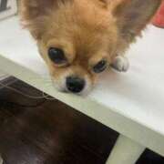 ヒメ日記 2025/10/22 06:10 投稿 冬月　あみ club BLENDA 天王寺・谷9天高ビル店