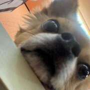 ヒメ日記 2025/10/22 16:03 投稿 冬月　あみ club BLENDA 天王寺・谷9天高ビル店