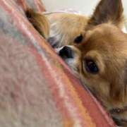 ヒメ日記 2025/10/23 22:29 投稿 冬月　あみ club BLENDA 天王寺・谷9天高ビル店