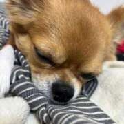 ヒメ日記 2025/11/27 18:13 投稿 冬月　あみ club BLENDA 天王寺・谷9天高ビル店