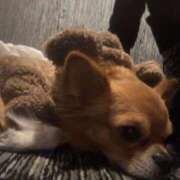 冬月　あみ しゅ club BLENDA 天王寺・谷9天高ビル店