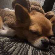 ヒメ日記 2025/12/22 06:24 投稿 冬月　あみ club BLENDA 天王寺・谷9天高ビル店