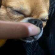 冬月　あみ 後もう少し🧡 club BLENDA 天王寺・谷9天高ビル店