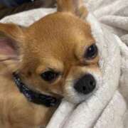 ヒメ日記 2026/01/05 08:15 投稿 冬月　あみ club BLENDA 天王寺・谷9天高ビル店