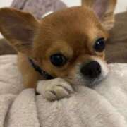 ヒメ日記 2026/01/05 20:44 投稿 冬月　あみ club BLENDA 天王寺・谷9天高ビル店