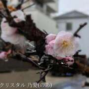 ヒメ日記 2025/03/04 07:35 投稿 乃愛（ゴールドキャスト） VIPクリスタル