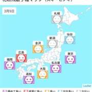 ヒメ日記 2025/03/09 10:54 投稿 乃愛（ゴールドキャスト） VIPクリスタル