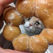 ヒメ日記 2025/06/24 16:53 投稿 乃愛（ゴールドキャスト） VIPクリスタル