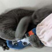 ヒメ日記 2025/07/24 11:36 投稿 乃愛（ゴールドキャスト） VIPクリスタル