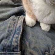 ヒメ日記 2025/08/21 10:06 投稿 乃愛（ゴールドキャスト） VIPクリスタル