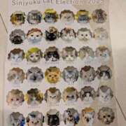 ヒメ日記 2025/09/08 11:29 投稿 乃愛（ゴールドキャスト） VIPクリスタル